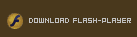 zum flash-player download